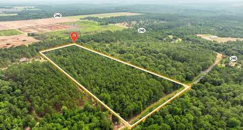 11.36 Ac BRANNON MONTGOMERY ROAD, MAUK, GA 31058
