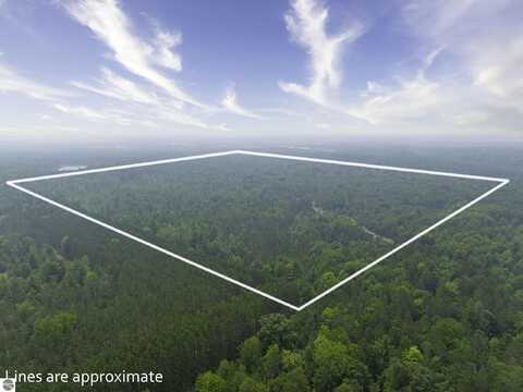 00 SHADY LANE, KALKASKA, MI 49646
