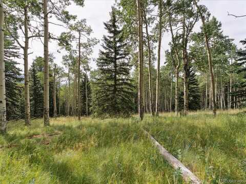 000 Meadowlark Drive, Evergreen, CO 80439