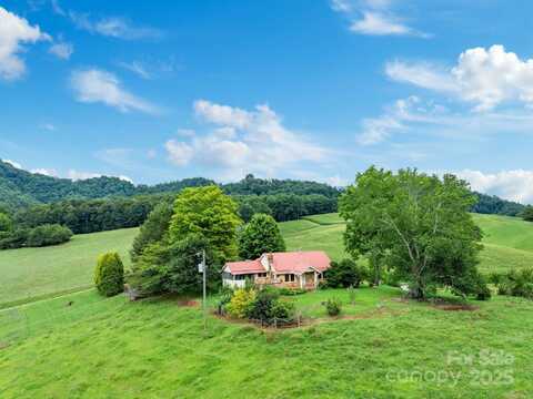 61 Brooks Branch Road, Leicester, NC 28748