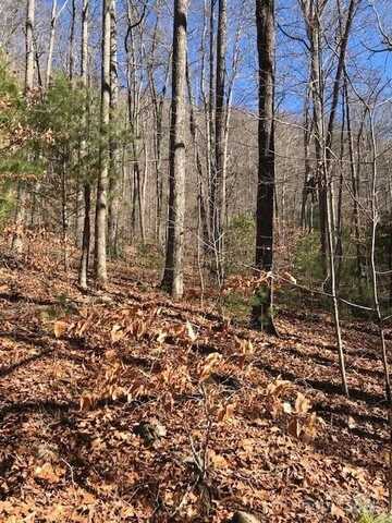 Romancer Drive, Sylva, NC 28779