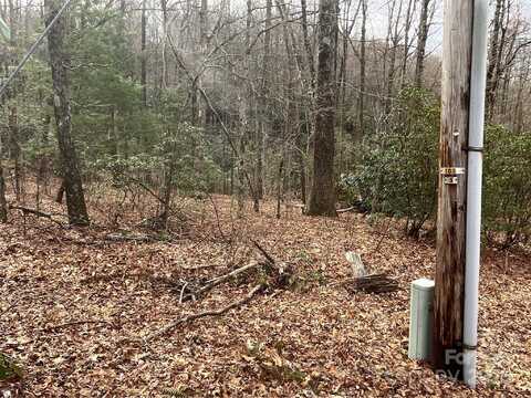 999 Panther Gap Road, Brevard, NC 28712