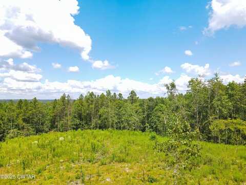 Tract 1 Ray Miller Rd, Sugar Tree, TN 38380