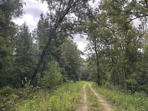 Tbd CR 381, Wewahitchka, FL 32465