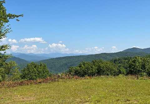 111 Little Bear Rd, Bryson City, NC 28713