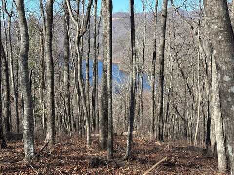 Lot 762 Scarlet Oak Drive, Tuckasegee, NC 28783