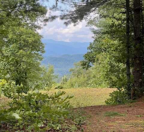 105 Starlight Ln, Bryson City, NC 28713