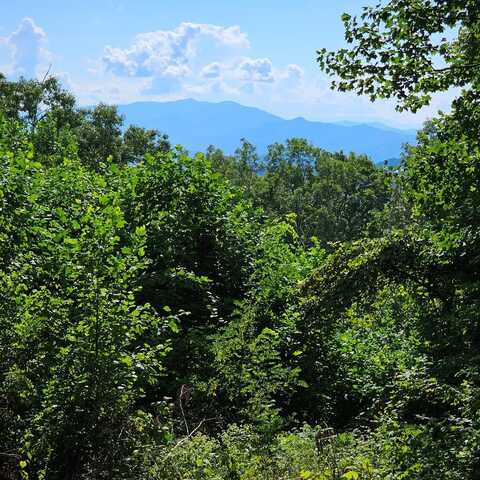Lot 2C Pigeon Creek Road, Bryson City, NC 28713