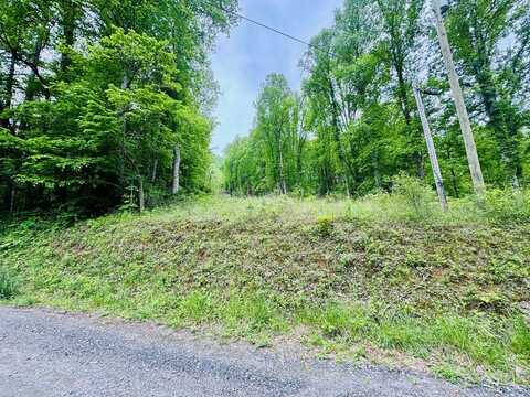Jericho Rd, Whittier, NC 28789