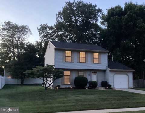 7 VAIL ROAD, ERIAL, NJ 08081