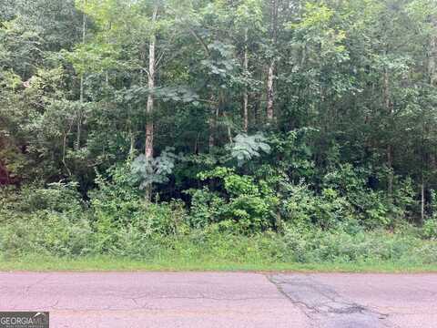 811 Askew, Hogansville, GA 30230