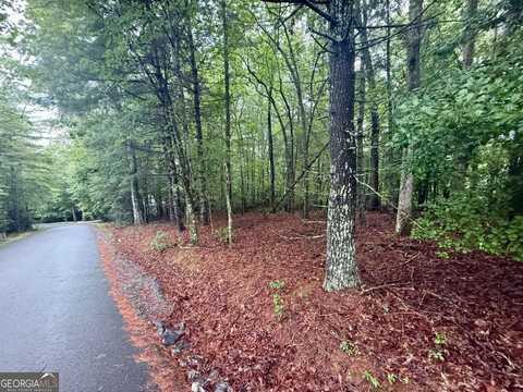 Lot 15 White Pine, Hayesville, NC 28904