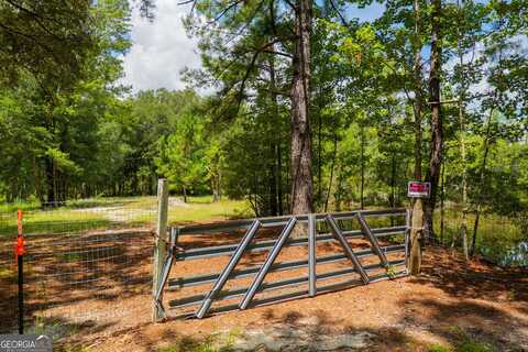 99 Eagle Nest, Fargo, GA 31631