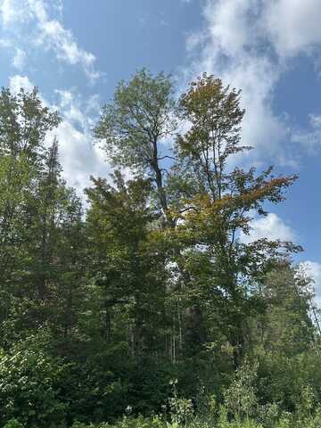 On MALVERN FIRE LN, Rhinelander, WI 54501