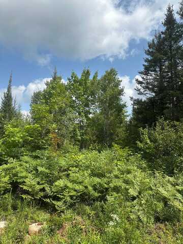 On MALVERN FIRE LN, Rhinelander, WI 54501
