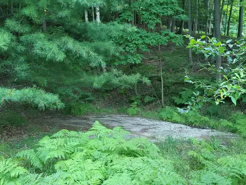 00 Hill Road, Manistee, MI 49660