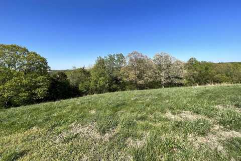 Lot 58 Eagle Crest Circle, Hollister, MO 65672