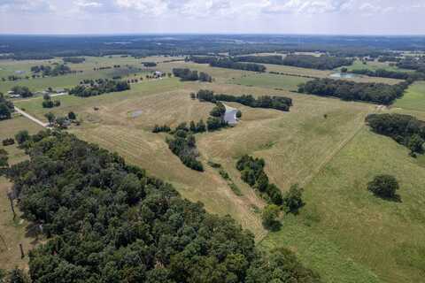 Tract 1 Bass Road, Rogersville, MO 65742