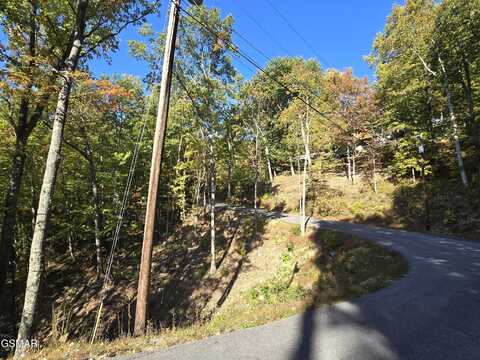 L 6 Scenic Trail, Gatlinburg, TN 37738