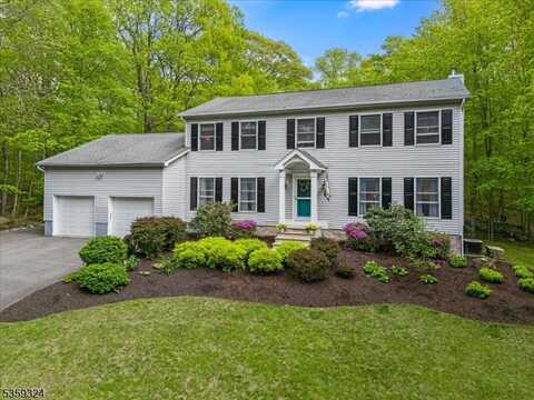 3 Buckhaven Trl, Hardyston, NJ 07460