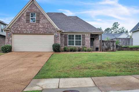 243 Bent Brook Ridge St, Starkville, MS 39759