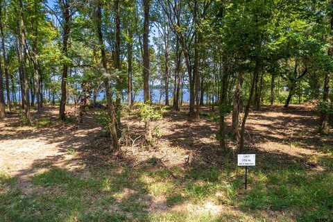 Lot 1 Big Oaks, Leesburg, TX 75451