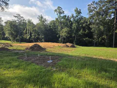 2189 Old Highway 24, Hattiesburg, MS 39402
