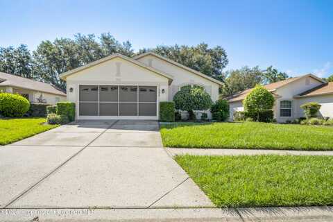 11242 Heathrow Avenue, Spring Hill, FL 34609