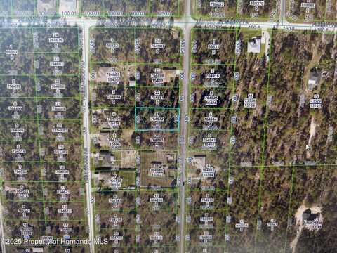 15413 Pomp Parkway, Weeki Wachee, FL 34614