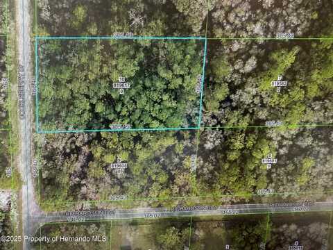 Cockleberry Drive, Ridge Manor, FL 33597