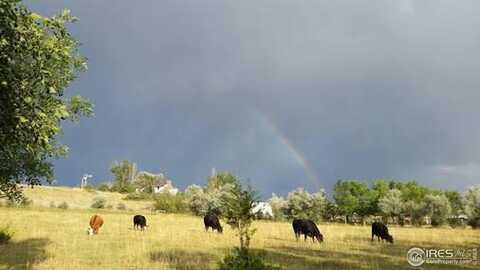 1525 S County Road 27 E, Berthoud, CO 80513