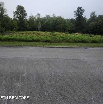 302 Caney View (w/dock) Drive, Harriman, TN 37748