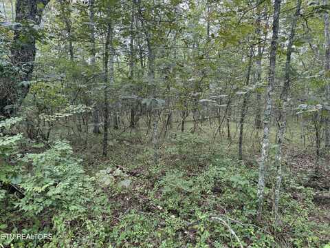 130 Blackburn Drive, Crossville, TN 38558