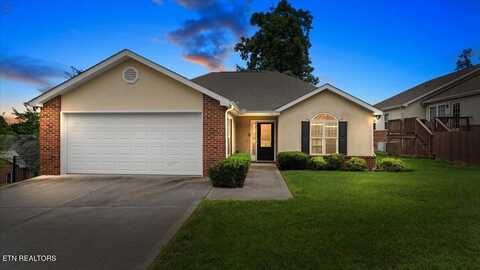 113 Linden Lane, Loudon, TN 37774
