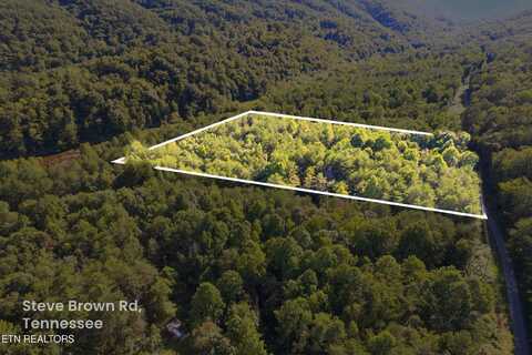 Steve Brown Rd, Bean Station, TN 37708