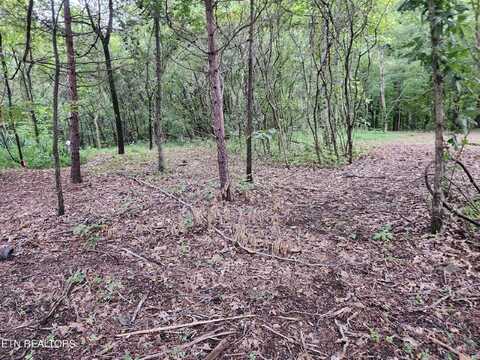 Black Oak Road Rd, Clinton, TN 37716