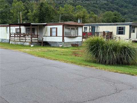 Jeffery Street, Danville, WV 25053