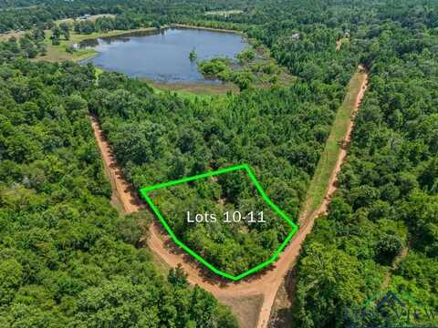 Tbd Indian Mound Lake Lots 10 & 11, Hawkins, TX 75765