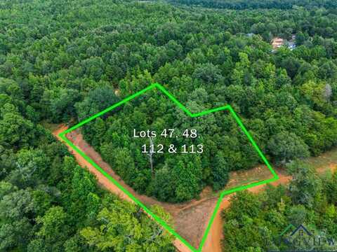 Tbd Indian Mound Lake lot 47, 48 112, and 113, Hawkins, TX 75765