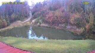 00 KY 190/Frazure Road, Pineville, KY 40977