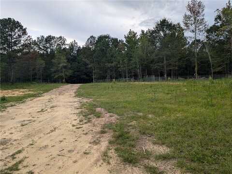 0 Lee Road 393, AUBURN, AL 36832