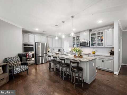 23630 HAVELOCK WALK TER #218, ASHBURN, VA 20148
