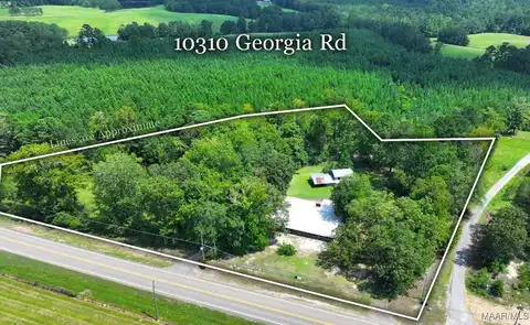 10310 GEORGIA Road, Eclectic, AL 36024