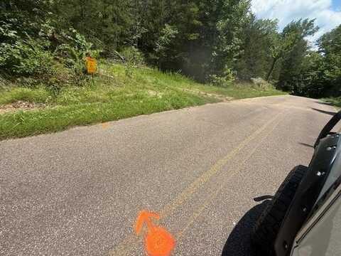 TRACT 6 CHERRY CHAPEL, Savannah, TN 38372