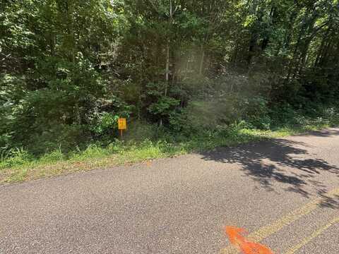 TRACT 4 CHERRY CHAPEL, Savannah, TN 38372