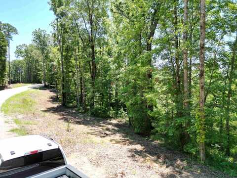 75 LILLY TAYLOR, Pocahontas, TN 38061