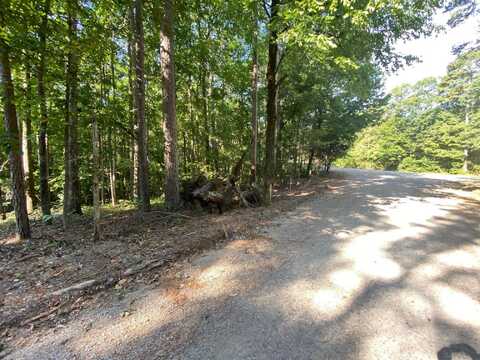 65 LILLY TAYLOR, Pocahontas, TN 38061