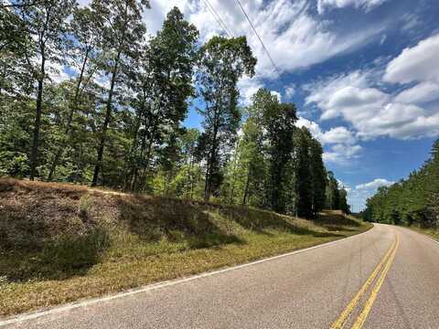 TRACT 6 PYBURNS, Savannah, TN 38372