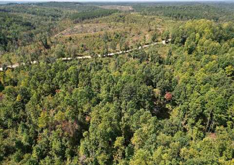 TRACT 2 TOLL HOLLOW, Waynesboro, TN 38485