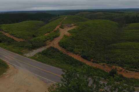 TRACT 10 HWY 48, Waynesboro, TN 38485